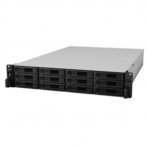   Synology RS3617xs+ -    (96000 Gb Seagate Enterprise Edition)