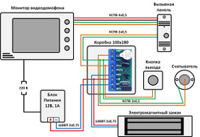       IP  ( )